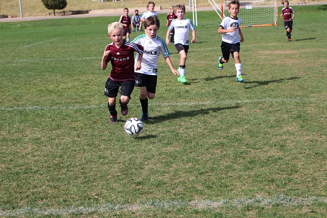 些活动的热 些活动的热