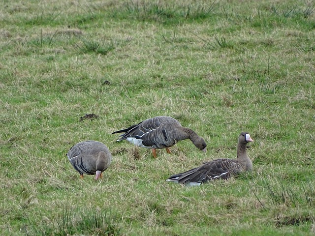 持联盟得分 持联盟得分