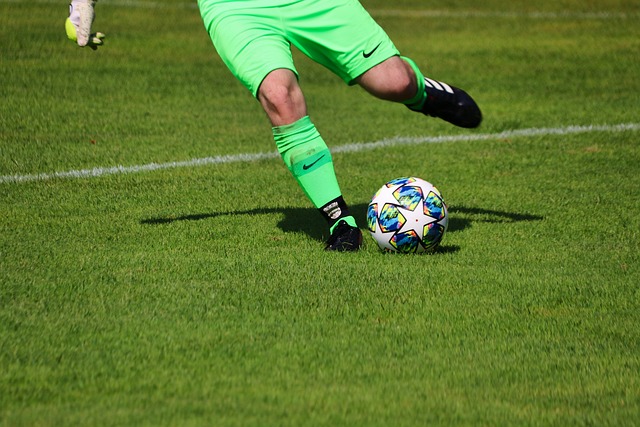 未来打下良 未来打下良