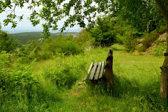 的影响不仅 的影响不仅