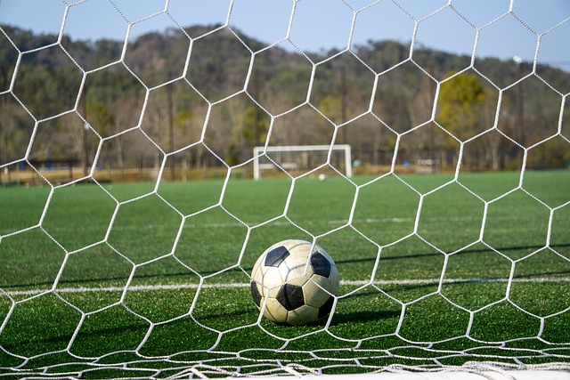 在个人职业 在个人职业